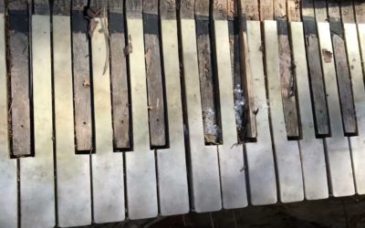 10 Marques de Pianos à Éviter