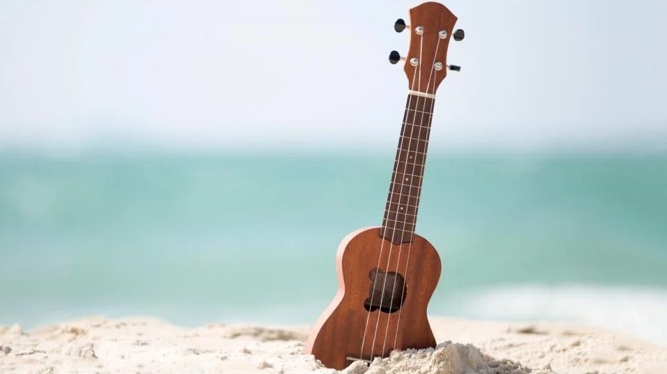 meilleurs ukuleles